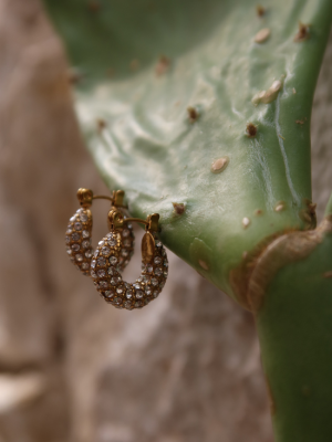 Gold Sparkle Hoops